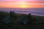 California Coast Sunset